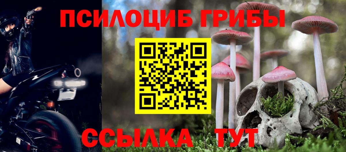 дарнет шоп  Вход с VPN  Верхняя Пышма  Псилоцибиновые грибы ЛСД 
