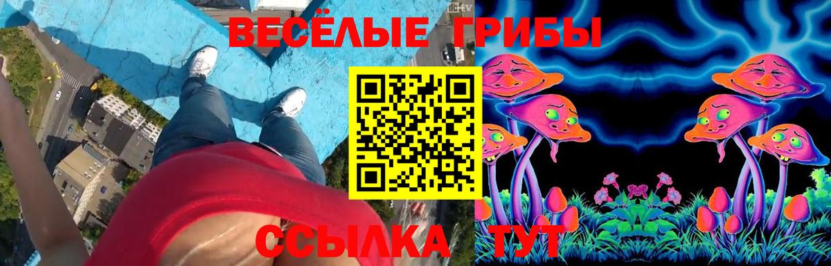 Галлюциногенные грибы Psilocybine cubensis Верхняя Пышма